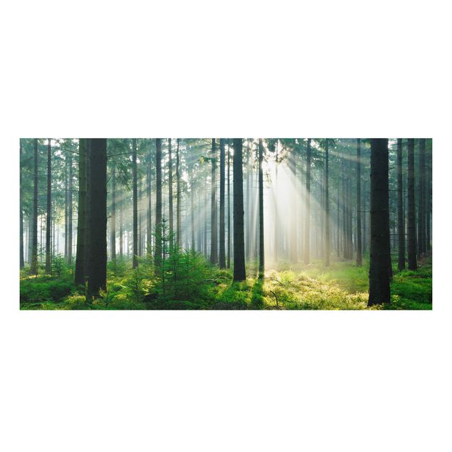 Forex print - Enlightened Forest