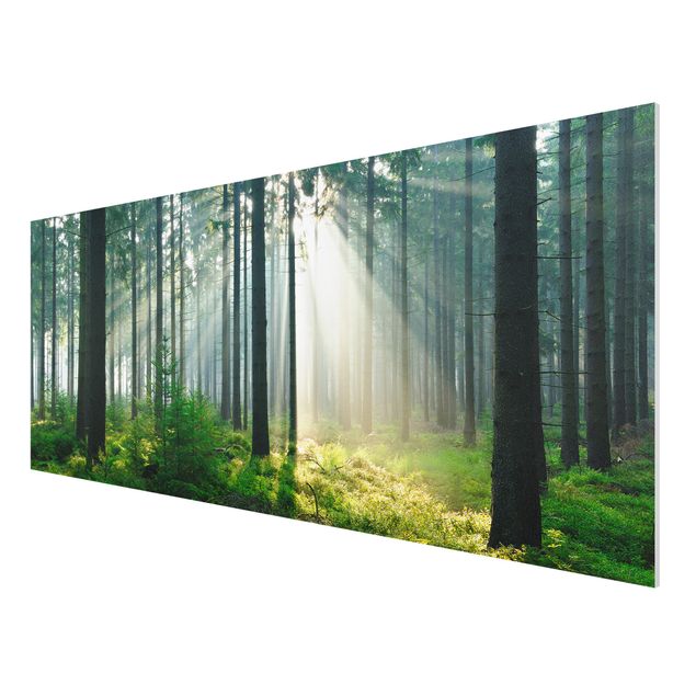 Forex print - Enlightened Forest