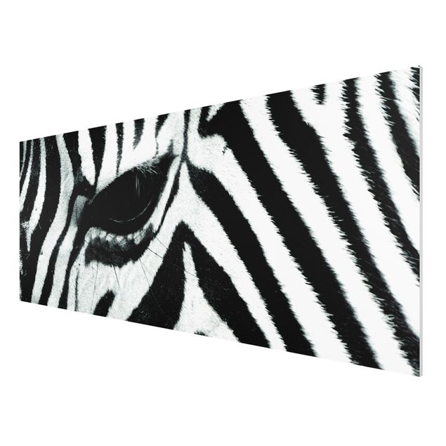 Forex print - Zebra Crossing No.2