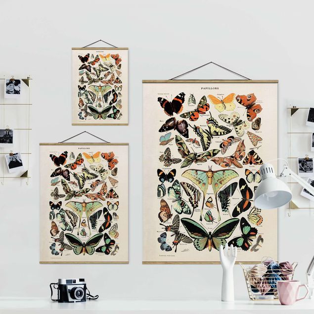 Fabric print with poster hangers - Vintage Board Butterflies And Moths