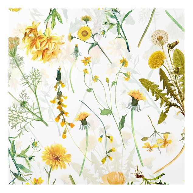 Splashback - Yellow Wild Flowers - Square 1:1