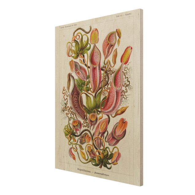 Print on wood - Vintage Board Plants Illustration Red Green