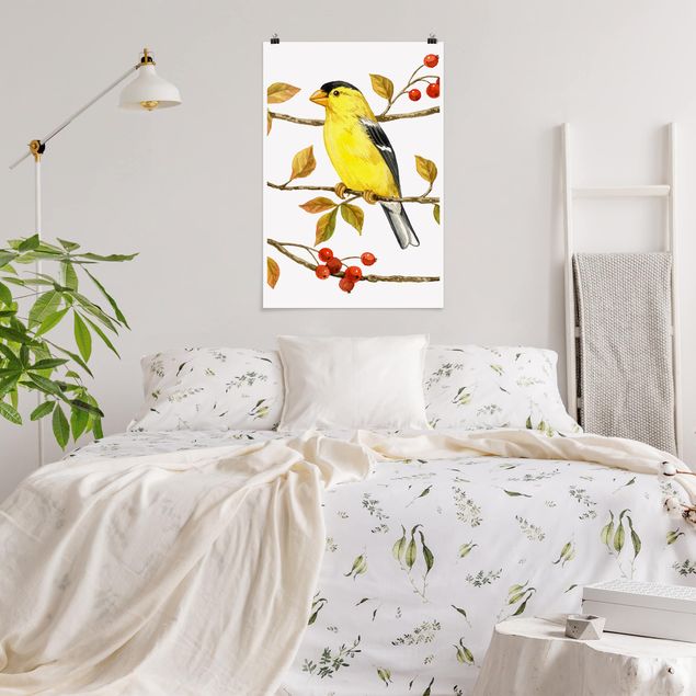 Poster animals - Birds And Berries - American Goldfinch