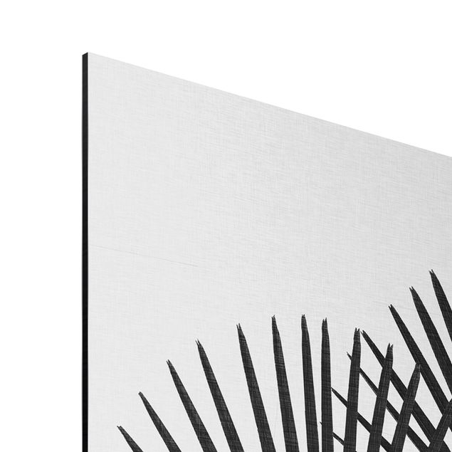 Print on aluminium - Palm Leaves In Black And White