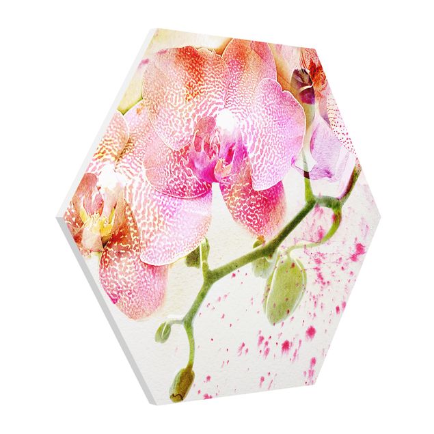 Forex hexagon - Watercolour Flowers Orchids