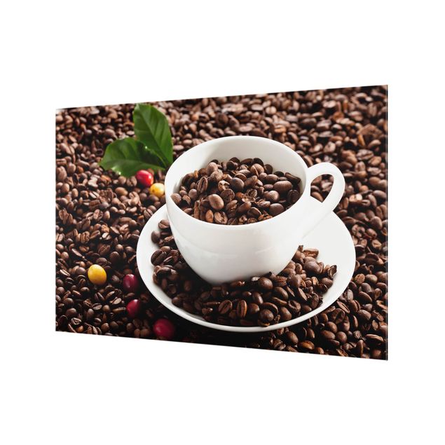Splashback - Coffee Cup With Roasted Coffee Beans