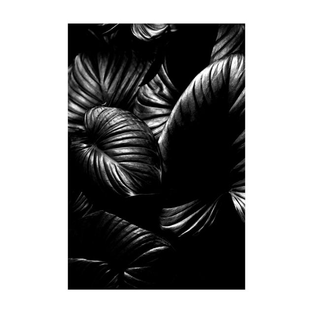 black and white area rug Black And White Botany Hosta
