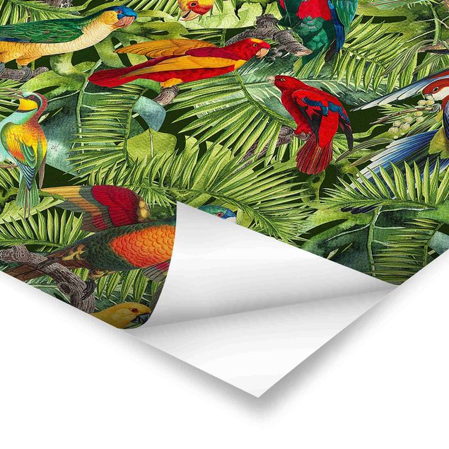 Poster - Colourful Collage - Parrots In The Jungle