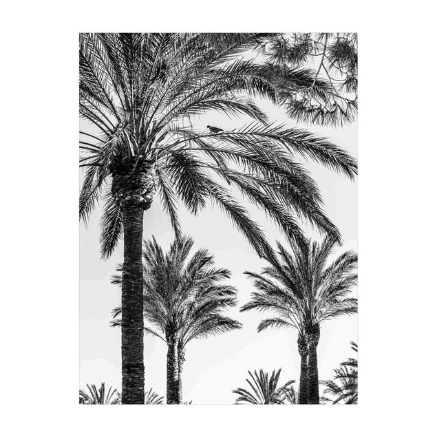 black and white floor mats Palm Trees At Sunset Black And White