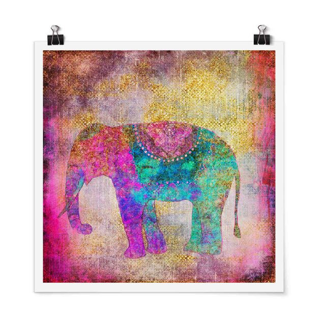 Poster - Colourful Collage - Indian Elephant