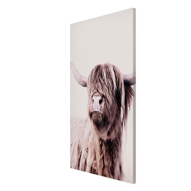 Magnetic memo board - Highland Cattle Frida In Beige