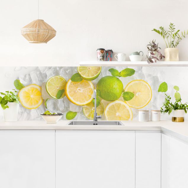 Kitchen wall cladding - Citrus Fruit On Ice Cubes