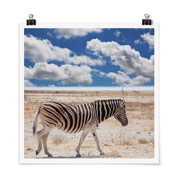 Poster - Zebra In The Savannah