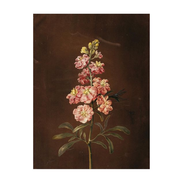 brown area rugs Barbara Regina Dietzsch - A Light Pink Gillyflower