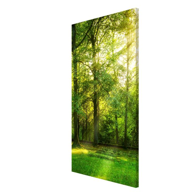 Magnetic memo board - Walk In The Woods