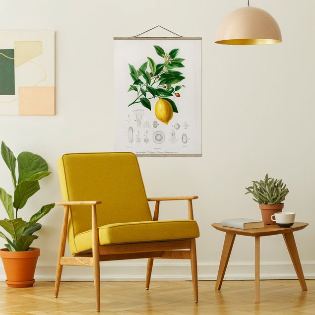 Fabric print with poster hangers - Botany Vintage Illustration Of Lemon