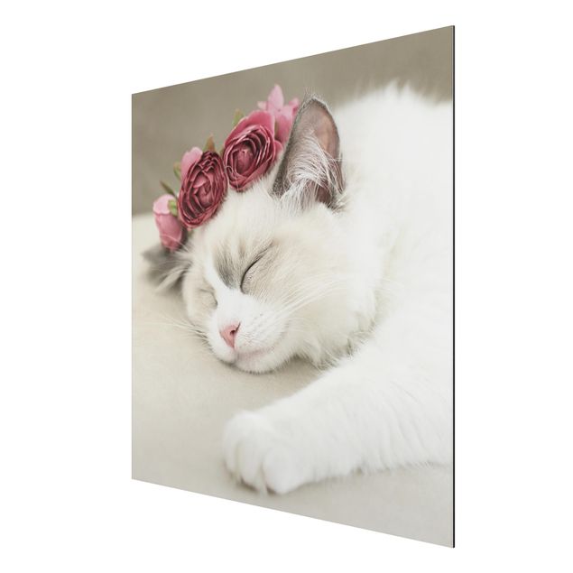 Print on aluminium - Sleeping Cat with Roses