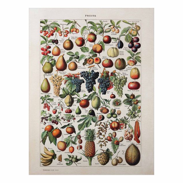 Print on aluminium - Vintage Board Fruits