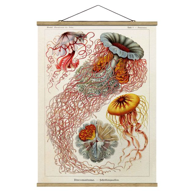 Fabric print with poster hangers - Vintage Board Jellyfish