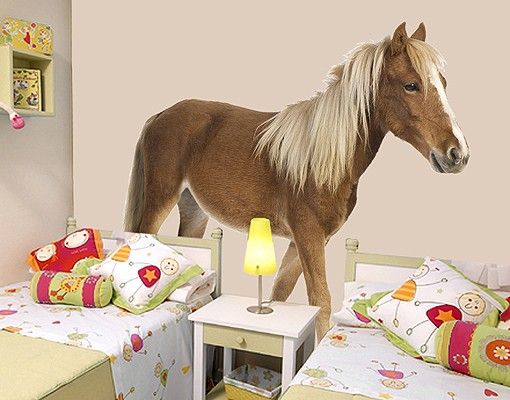 Wall decal No.136 Pony