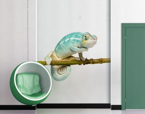 Wall stickers No.151 Blue Chameleon