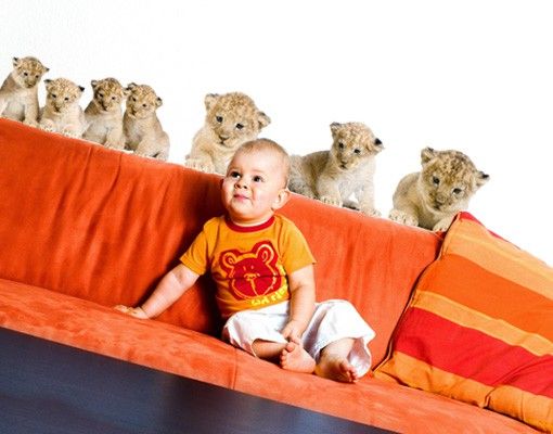 African wall stickers No.158 Lionbaby Set