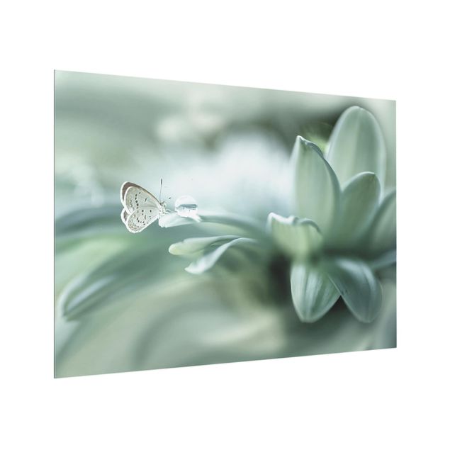 Glass splashbacks Butterfly And Dew Drops In Pastel Green