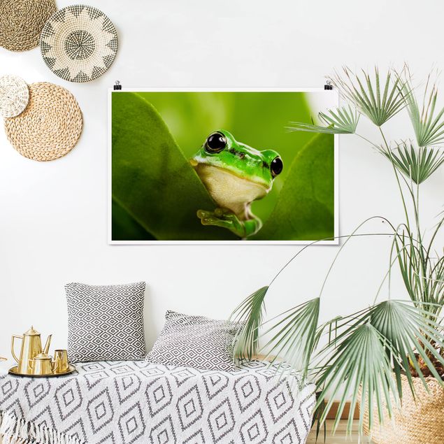 Poster - Frog