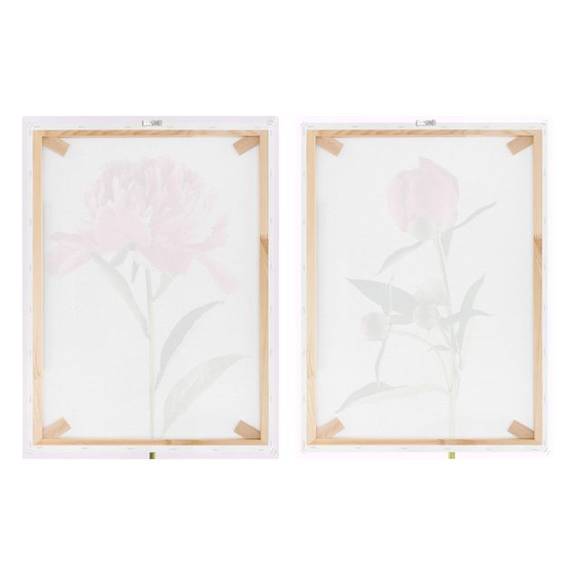 Print on canvas - Peonies In Pink