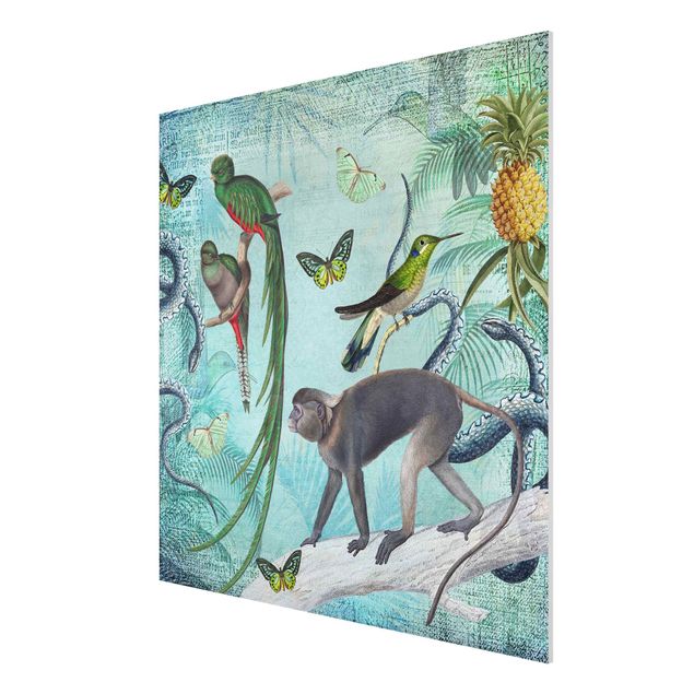 Print on forex - Colonial Style Collage - Monkeys And Birds Of Paradise