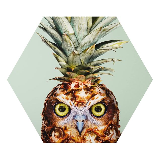Alu-Dibond hexagon - Pineapple With Owl