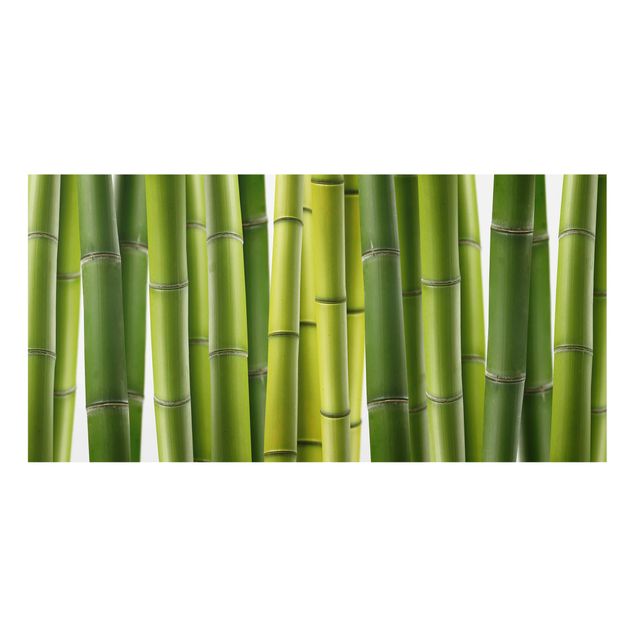 Splashback - Bamboo Plants