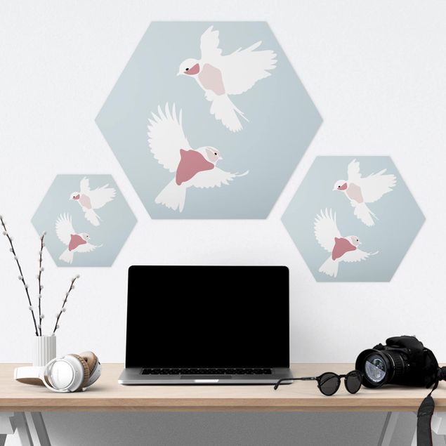 Forex hexagon - Line Art Pigeons Pastel