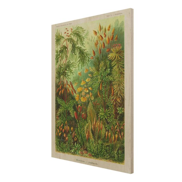 Print on wood - Vintage Board Moss