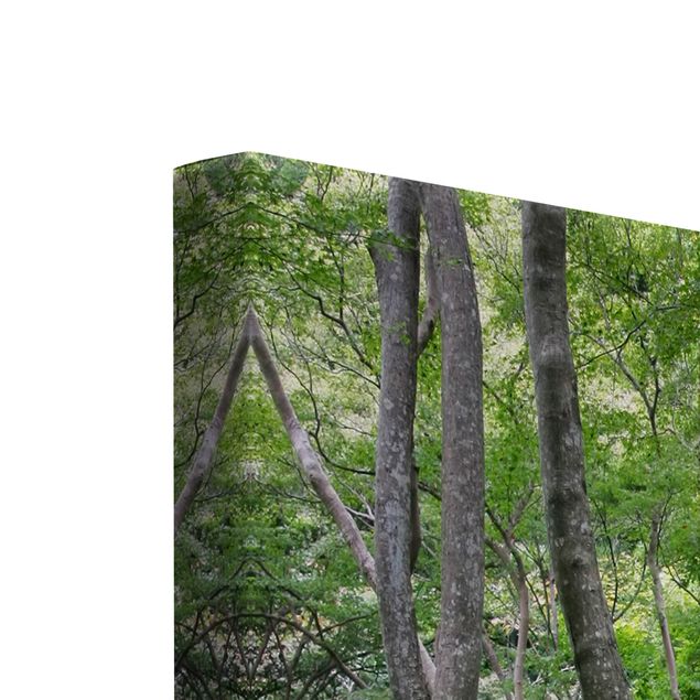Print on canvas 3 parts - Growing Trees