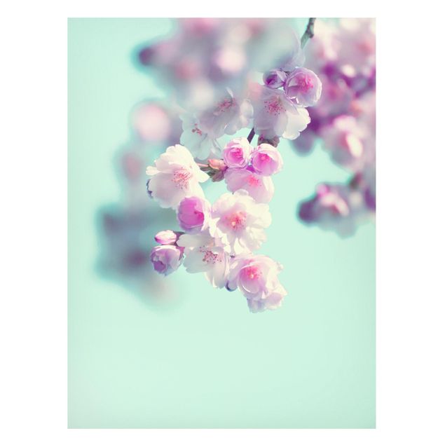 Magnetic memo board - Colourful Cherry Blossoms