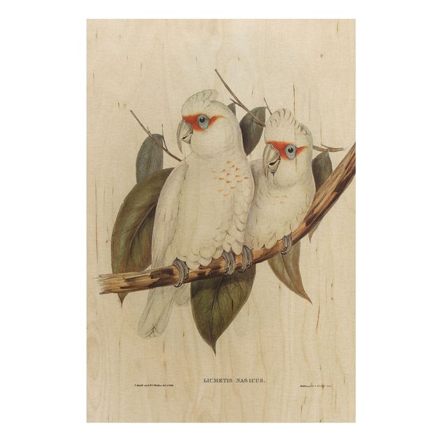 Print on wood - Vintage Illustration White Cockatoo