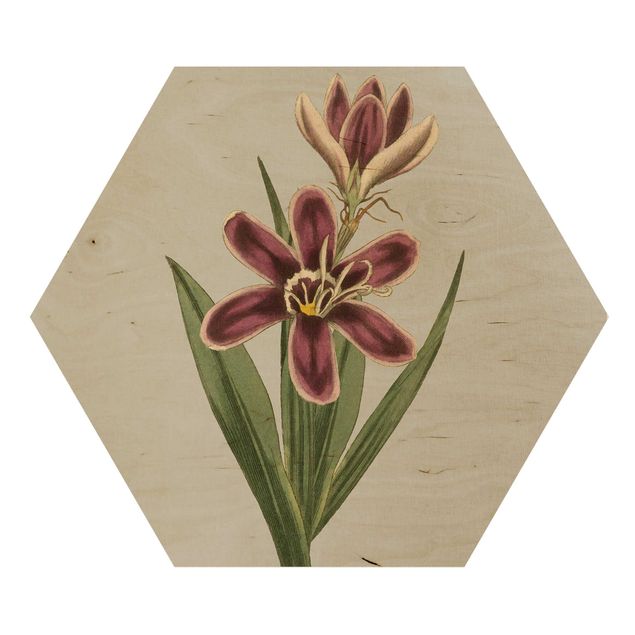 Wooden hexagon - Floral Jewelry II