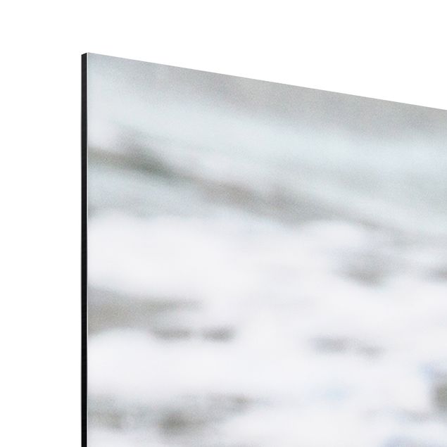 Print on aluminium - Seagull On The Beach In Front Of The Sea