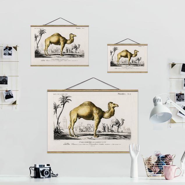 Fabric print with poster hangers - Vintage Board Dromedary