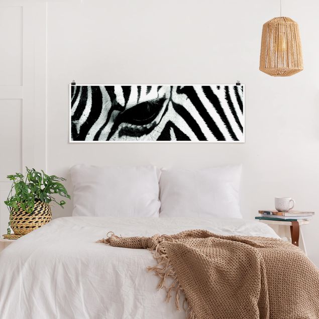 Panoramic poster animals - Zebra Crossing