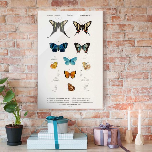 Glas Magnettafel Vintage Board Butterflies I