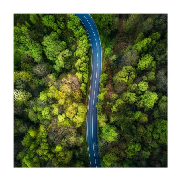 Road rug Aerial Image - Paved Road In the Forest