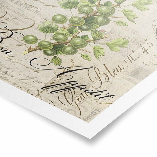 Poster - Shabby Chic Collage - Gooseberry