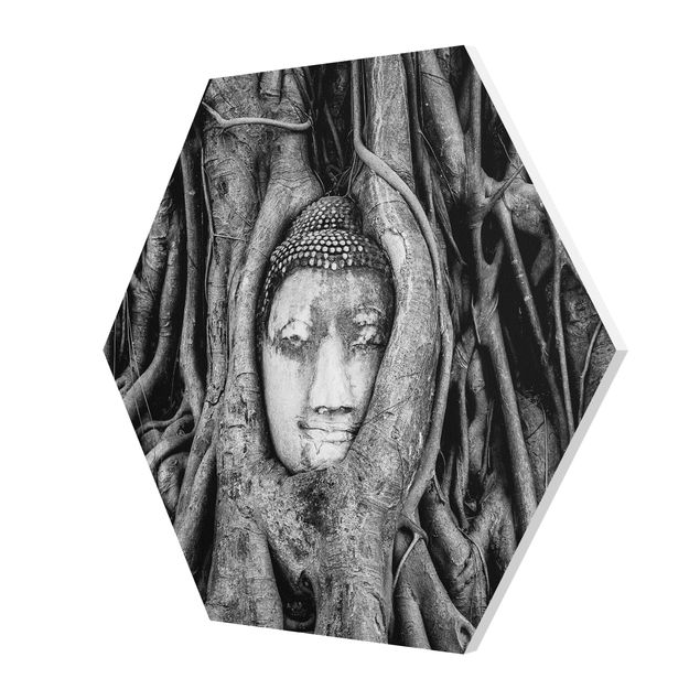 Forex hexagon - Buddha In Ayutthaya Lined From Tree Roots In Black And White