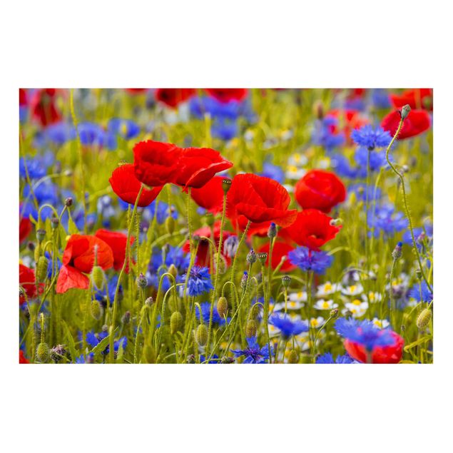 Magnetic memo board - Summer Meadow With Poppies And Cornflowers