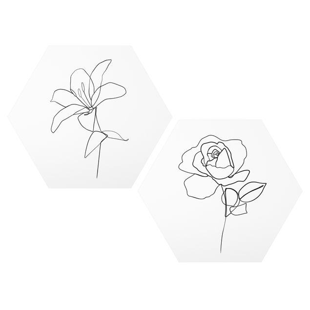 Alu-Dibond hexagon - Line Art Flowers Black White Set