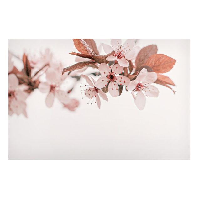 Magnetic memo board - Delicate Cherry Blossoms On A Twig