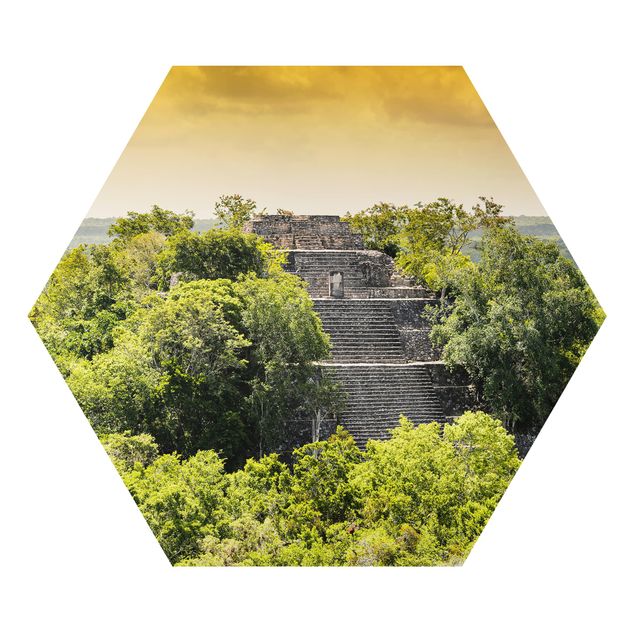 Alu-Dibond hexagon - Pyramid of Calakmul