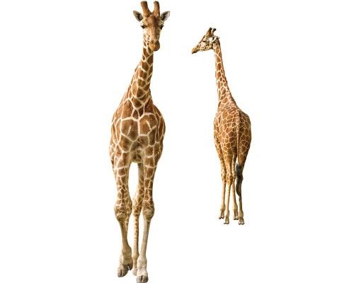 Window sticker - Two Giraffes